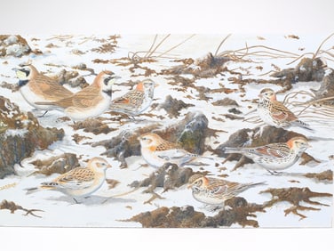 Barry Kent MacKay (b.1943), gauche on board.