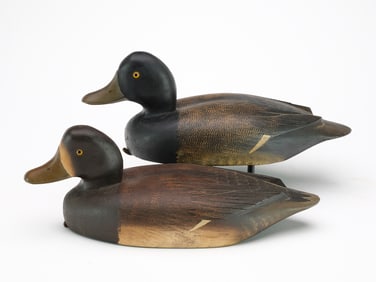 David W. Nichol (1859-1949), Smiths Falls, Ontario.