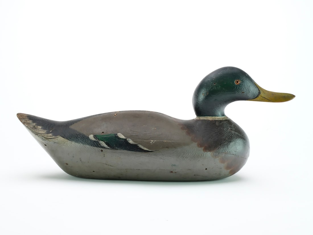 Mason Decoy Factory (1896-1924), Detroit, Michigan.: Mallard drake. Challenge grade with snakey head style. 'X' carved on underside of tail. Measures 16.5" long.