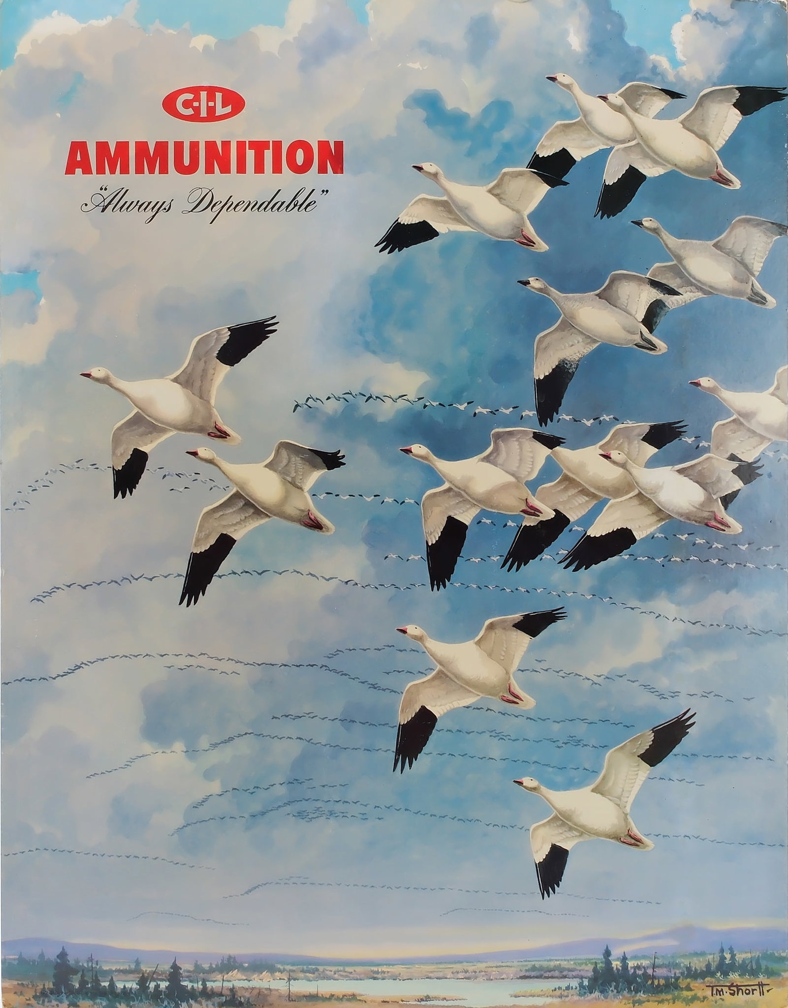 CIL Ammunition cardboard advertising display.: Image by T.M. Shortt depicting a sky full of snow geese. Measures 27" x 21".