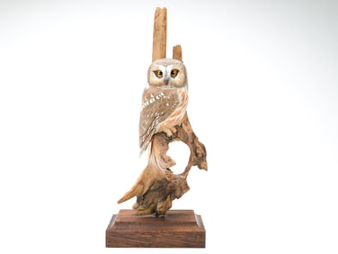 Steve Weaver (b.1950), Cape Cod, Massachusetts.