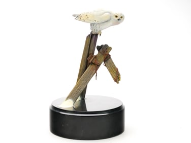 Al Jordan, Rochester, New York.