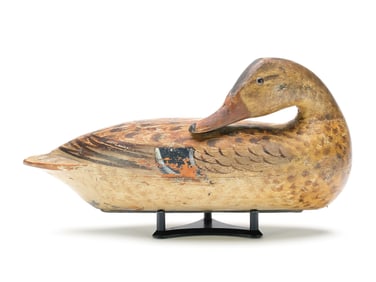 Robert Elliston (1849-1915), Bureau, Illinois.