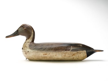 Robert Elliston (1849-1915), Bureau, Illinois.