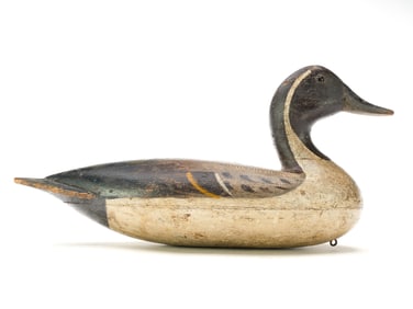 William Shaw (1849-1927), Lacon, Illinois.