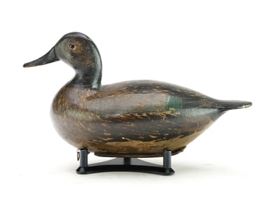 William Shaw (1849-1927), Lacon, Illinois.