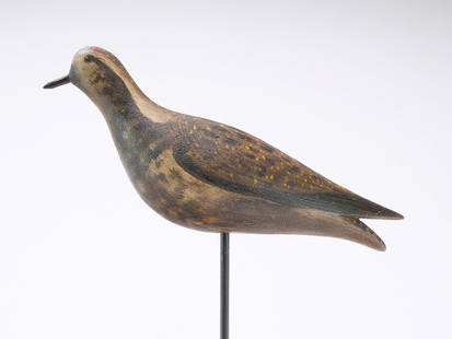 Lothrop Holmes (1824-1899), Kingston, Massachusetts.: Excellent and extremely rare golden plover with split tail carving and painted eyes. One of two known examples. Measures 10.5&#8221; long. Provenance: Ted and Judy Harmon collection.