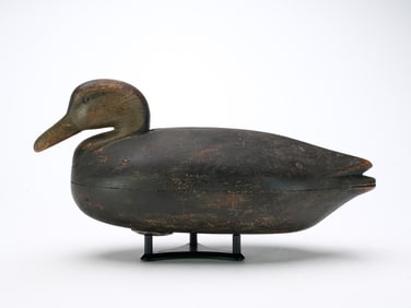 Elkanah Cobb (1852-1943), Cobb Island, Virginia.