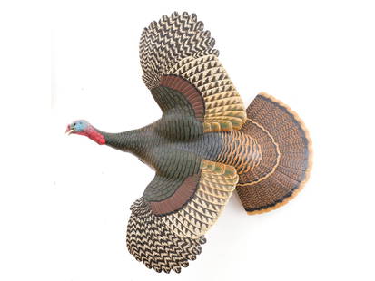 Eddie Wozny (b.1959), Cambridge, Maryland.: Wall hanging gobbler turkey in flight. Relief carved wing and tail feathers. Approximate 5.5” carved and inserted beard. Head is a superb execution of a gobbler turkey with beak open and glass e