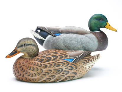 Jon Jones (b.1955), Algonac, Michigan.: Pair of decorative mallards with slightly turned heads and relief wingtip carving. Drake with carved curly tail sprig. Extensive feather carving. Signed and dated 2013. Measure 14.5" and 14" long.