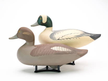 Madison Mitchell (1901-2003), Havre de Grace, Maryland.: Pair of buffleheads. Drake with slightly&#160;turned head is signed and dated 1974 in electropen. Hen is signed and dated 1972. Measure 14.25" long. Provenance: Purchased from the maker. Bobby Lewis c