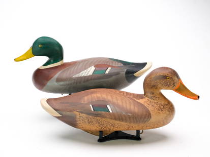 Madison Mitchell (1901-2003), Havre de Grace, Maryland.: Pair of mallards with slightly turned heads. Drake is signed and dated 1956 in electropen. Hen is signed and dated 1966 in ink. Measure 16.25" long. Provenance: Purchased from the maker. Bobby Lewis c