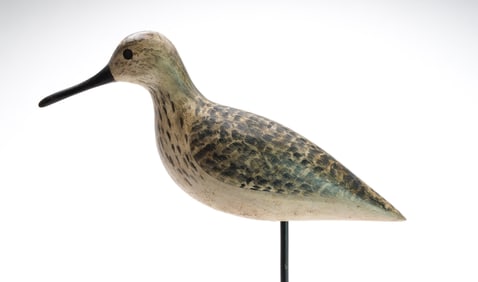 Harry V. Shourds (1861-1920), Tuckerton, New Jersey.