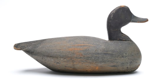 Ned Burgess (1868-1958), Churches Island, North Carolina.