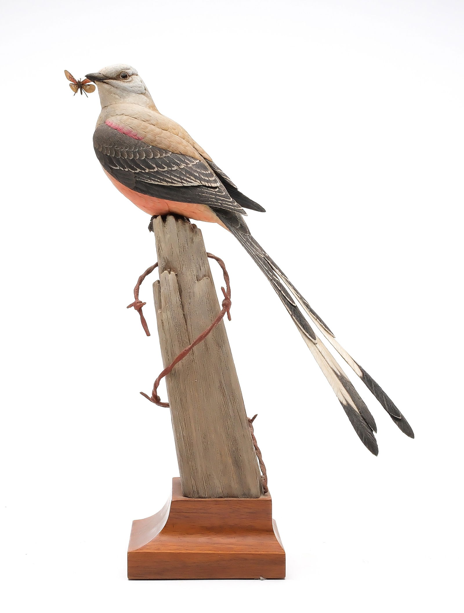 James E. "Jim" Hazeley (b.1986), Lancaster, Pennsylvania. (1 of 6)