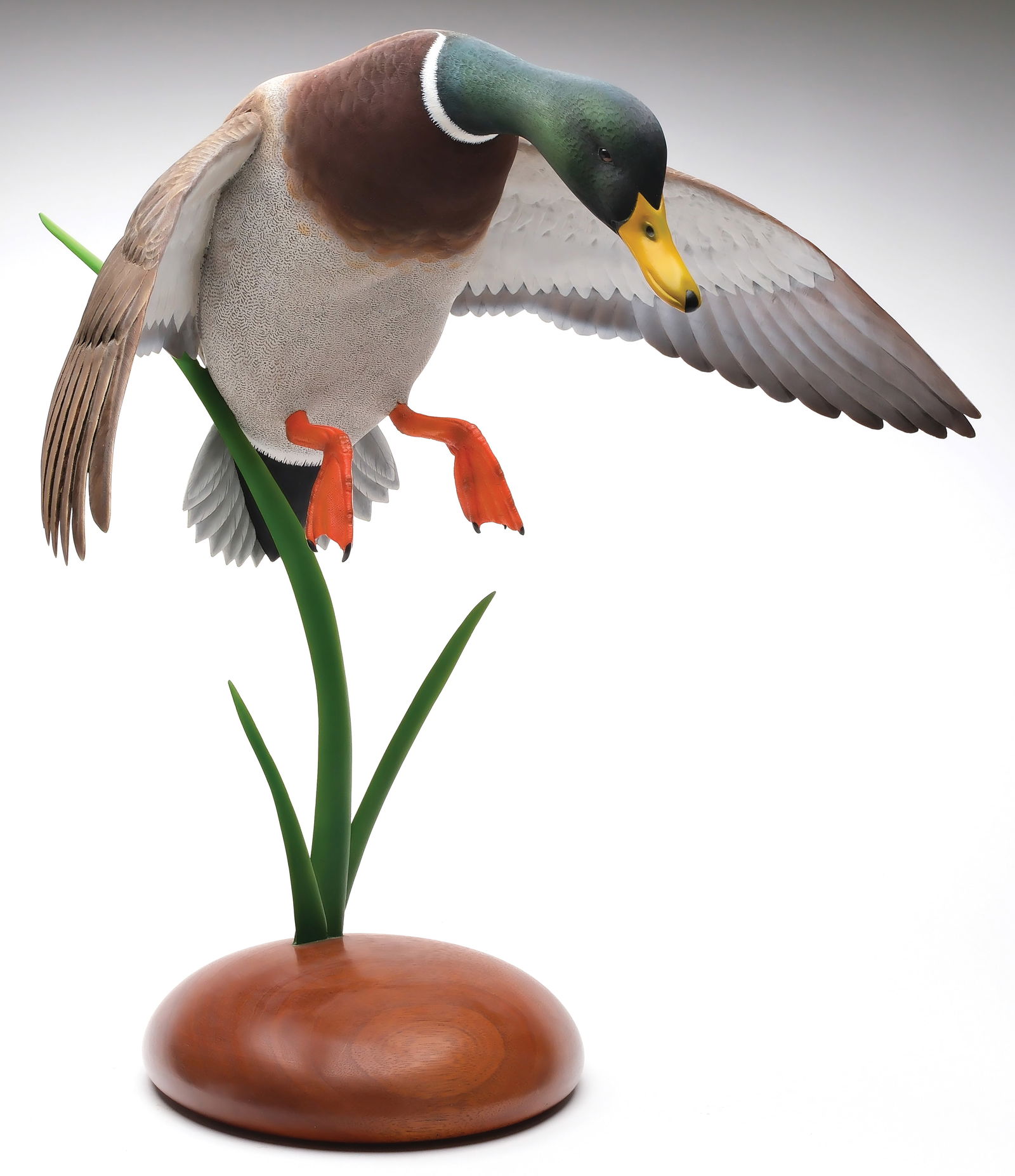 Reagan Danos (21st century), Larose, Louisiana. (1 of 4)