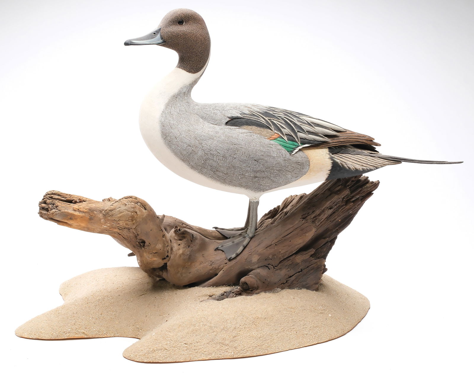 Larry Tawes, Salisbury, Maryland. (1 of 4)