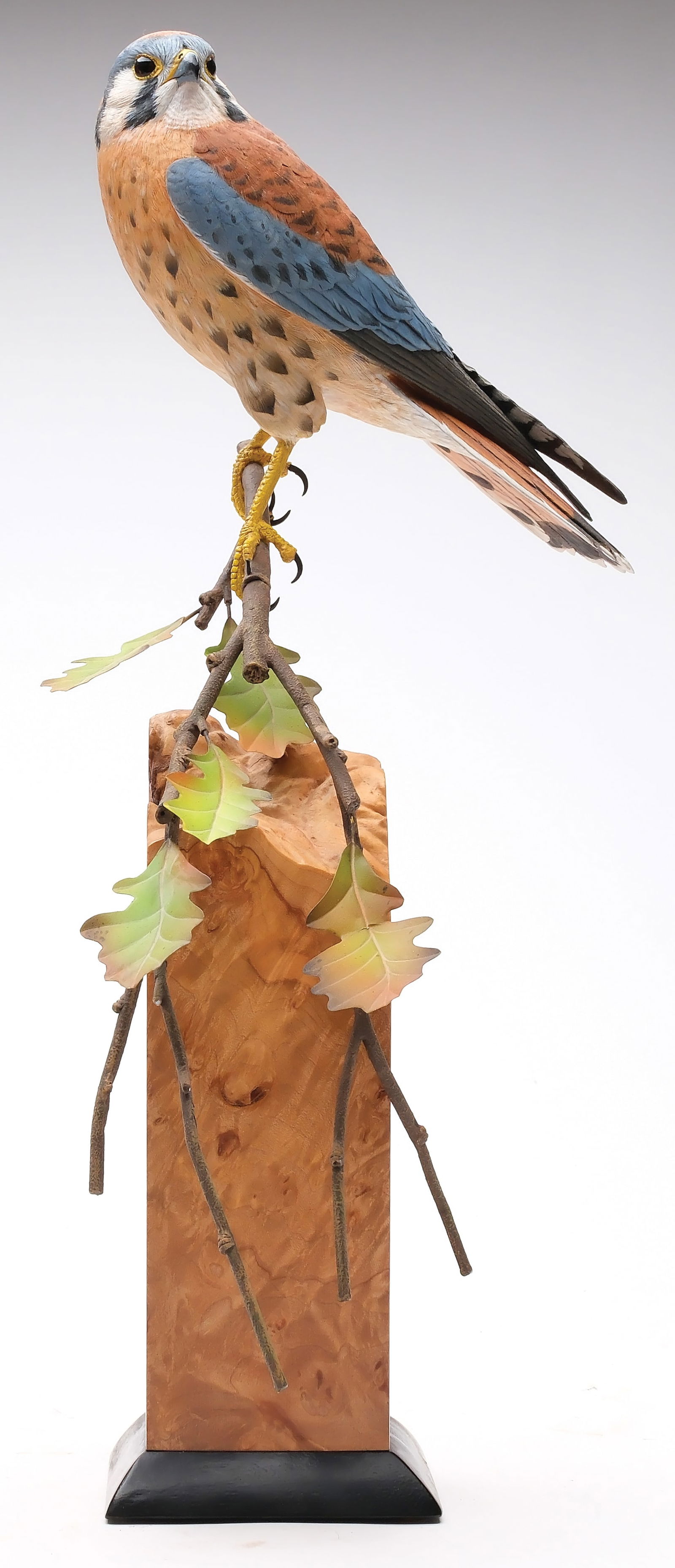 Peter Kaune, Gig Harbor, Washington (1 of 6)