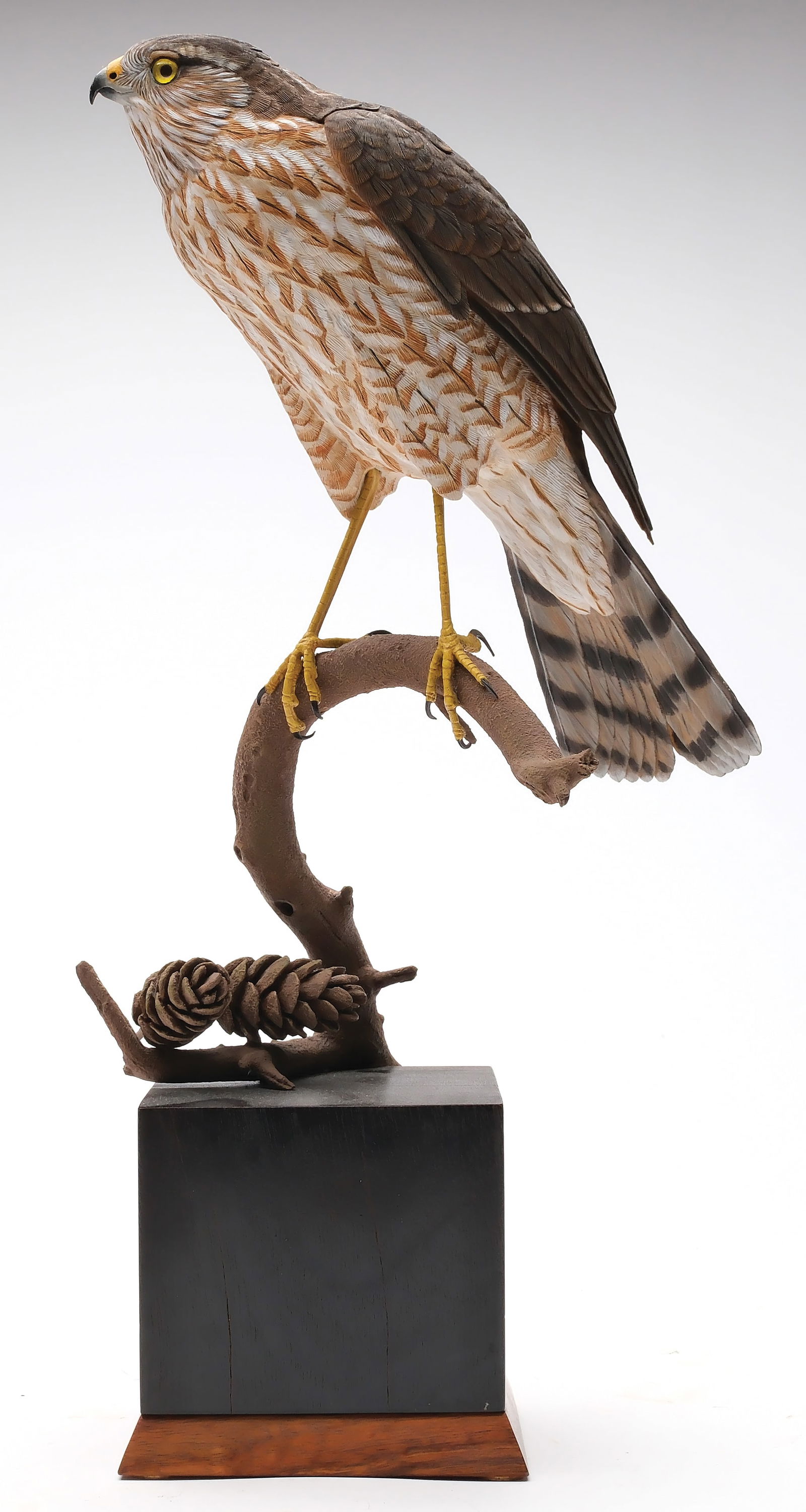 Peter Kaune, Gig Harbor, Washington. (1 of 5)