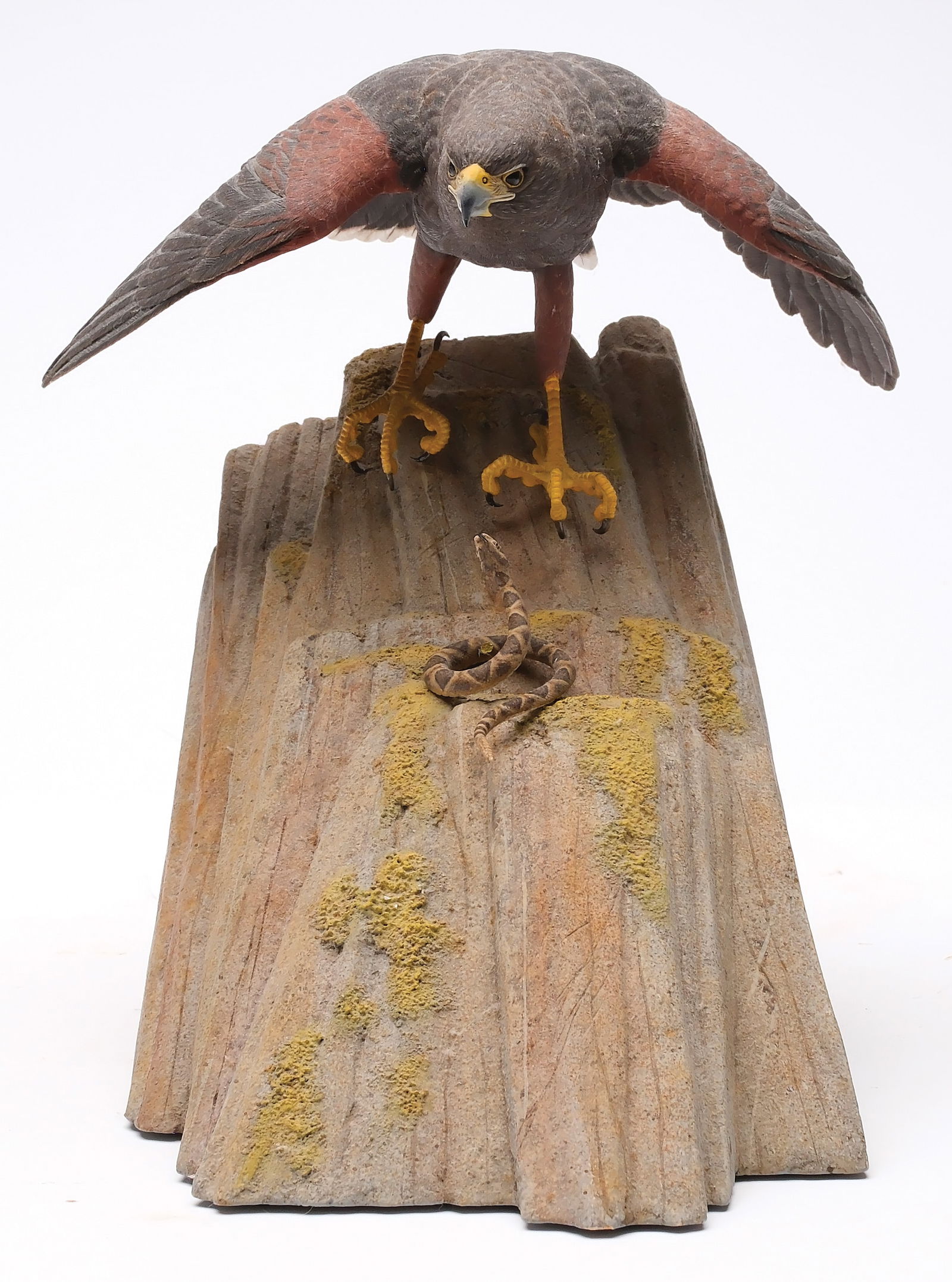 James E. "Jim" Hazeley (b.1986), Lancaster, Pennsylvania. (1 of 5)