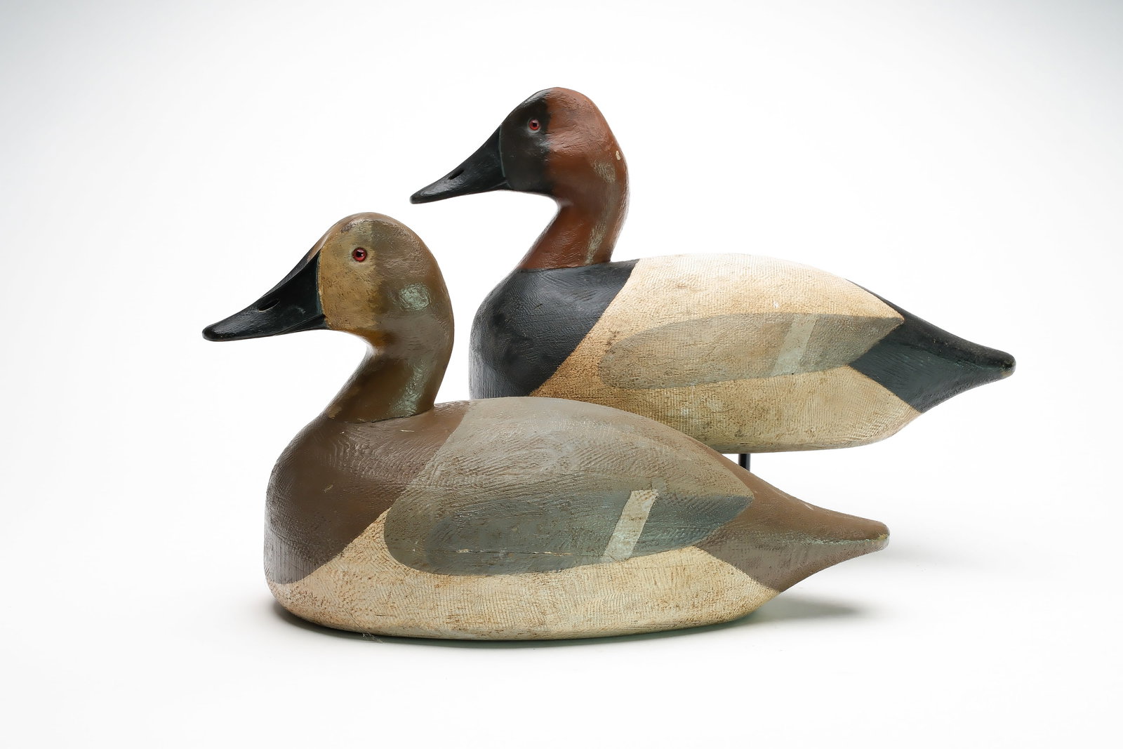 Frank Strey (1890 - 1966), Oshkosh, Wisconsin.: Pair of oversized canvasbacks. Hen with slightly turned head. Measure 18" long. Provenance: Jim and Diane Cook collection.