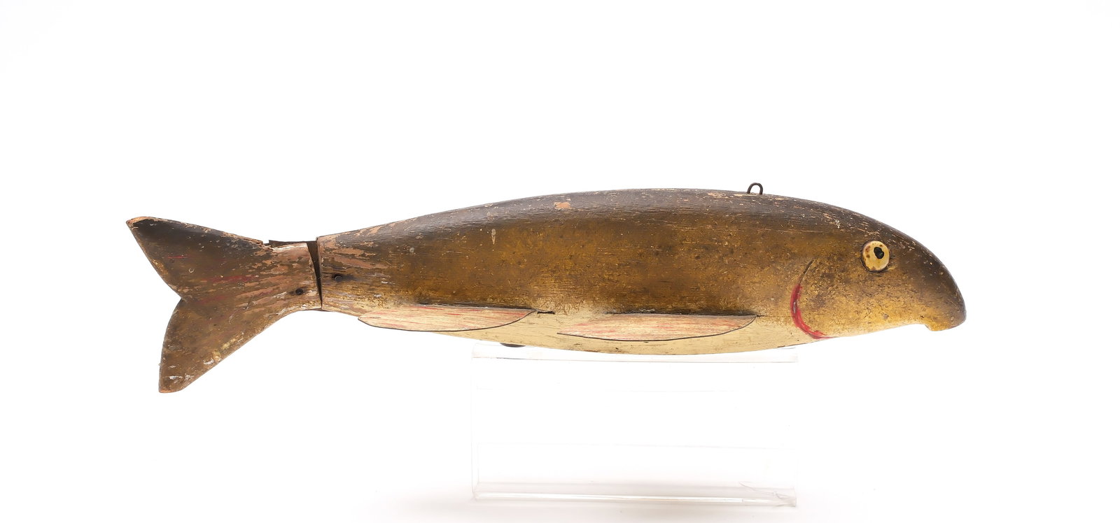 Large sucker fish, Lake St. Clair, Michigan, 1st half 20th century. (1 of 3)