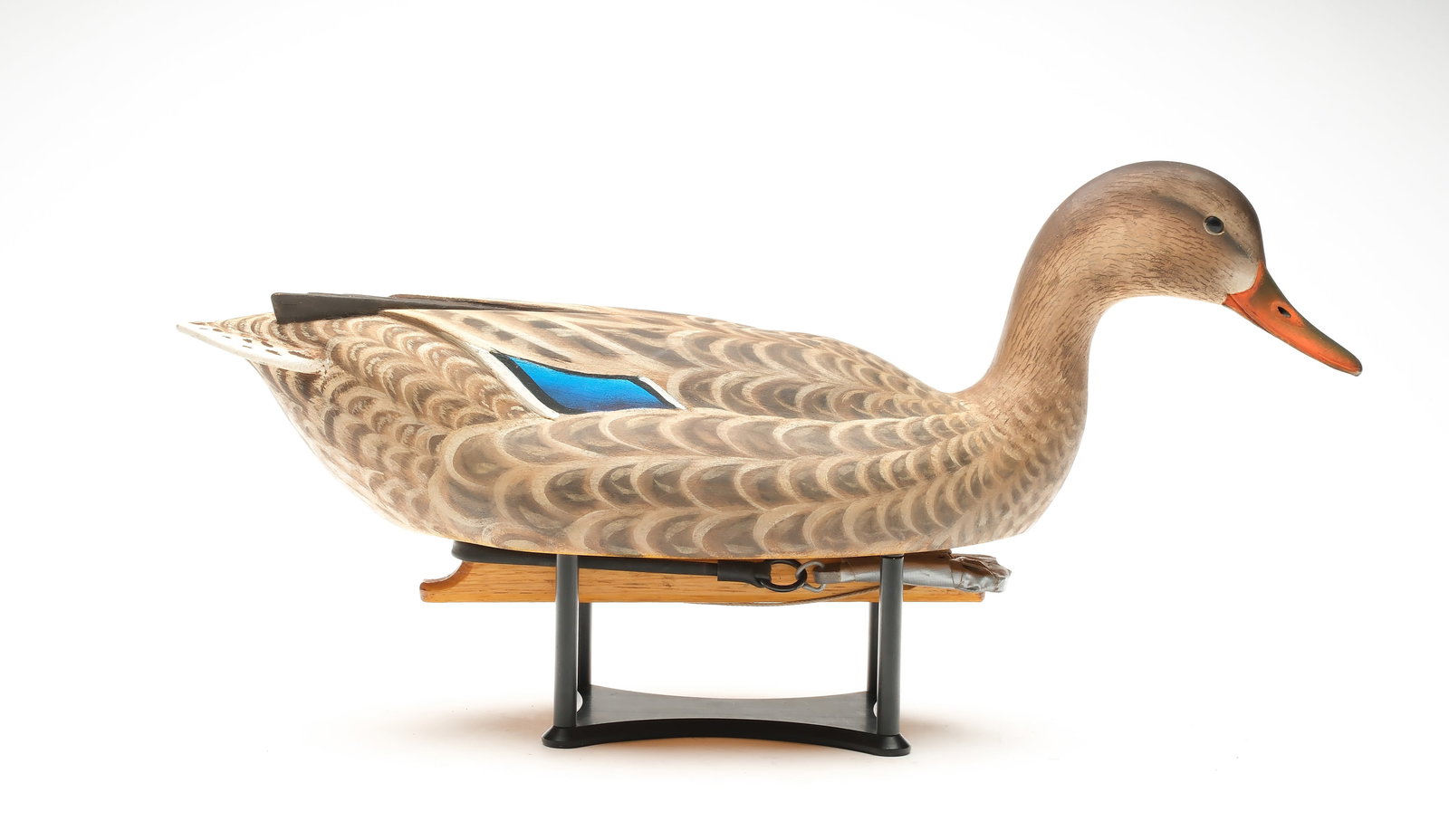 Marty Hanson (b. 1965), Hayward, Wisconsin.: Swimming mallard hen. Hollow carved with deep relief carved crossed wingtips. Head is slightly turned with scratch feather paint detail. Maker's ink stamp on underside. Bird is also named "Maeve" on u