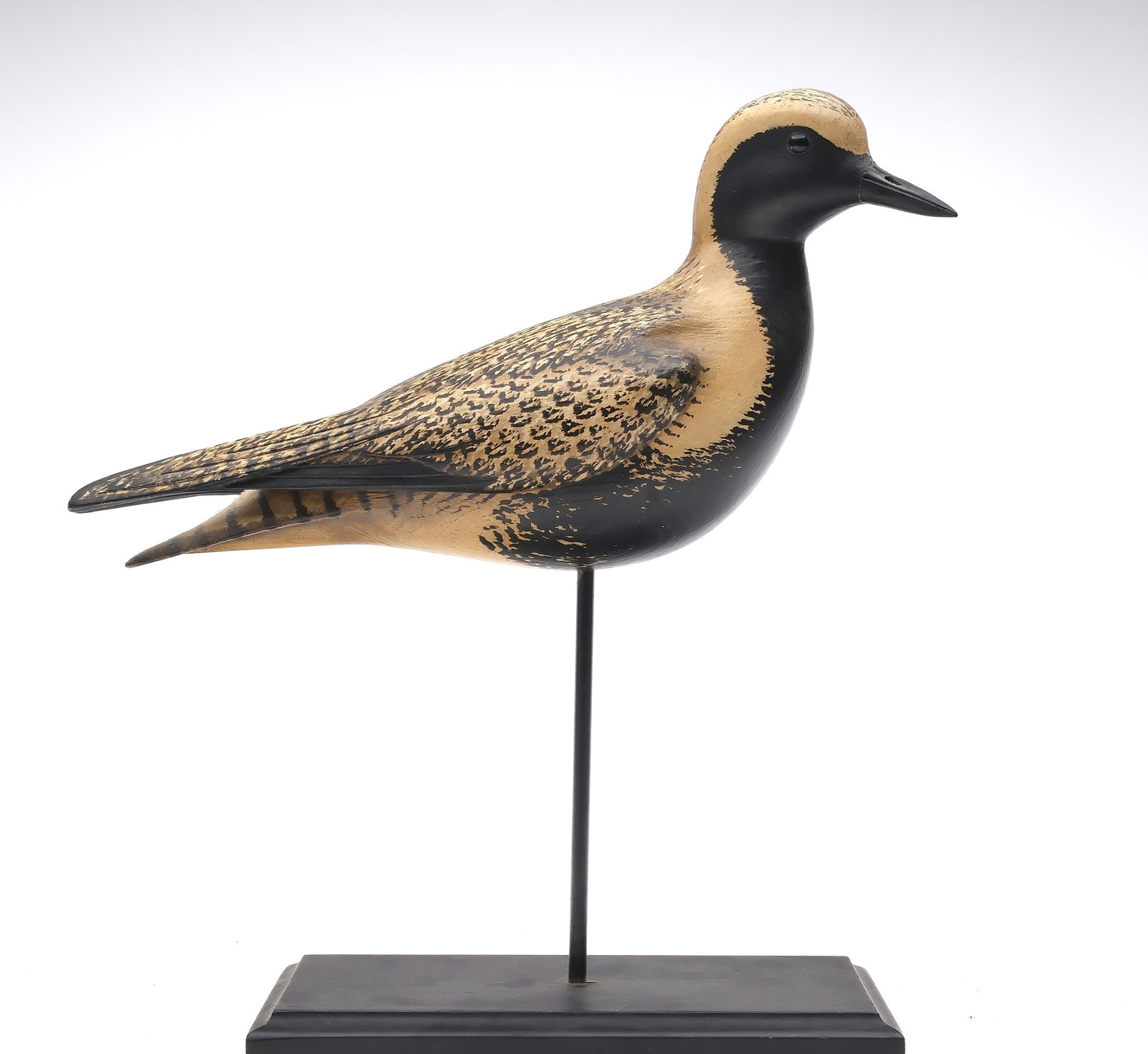 William Gibian (b.1946), Onancock, Virginia.: Black bellied plover with split, raised wingtips and relief feather carving. Turned head and glass eyes. Makers carved signature on underside. Measures 13" long. Provenance: Dean Hyde collection