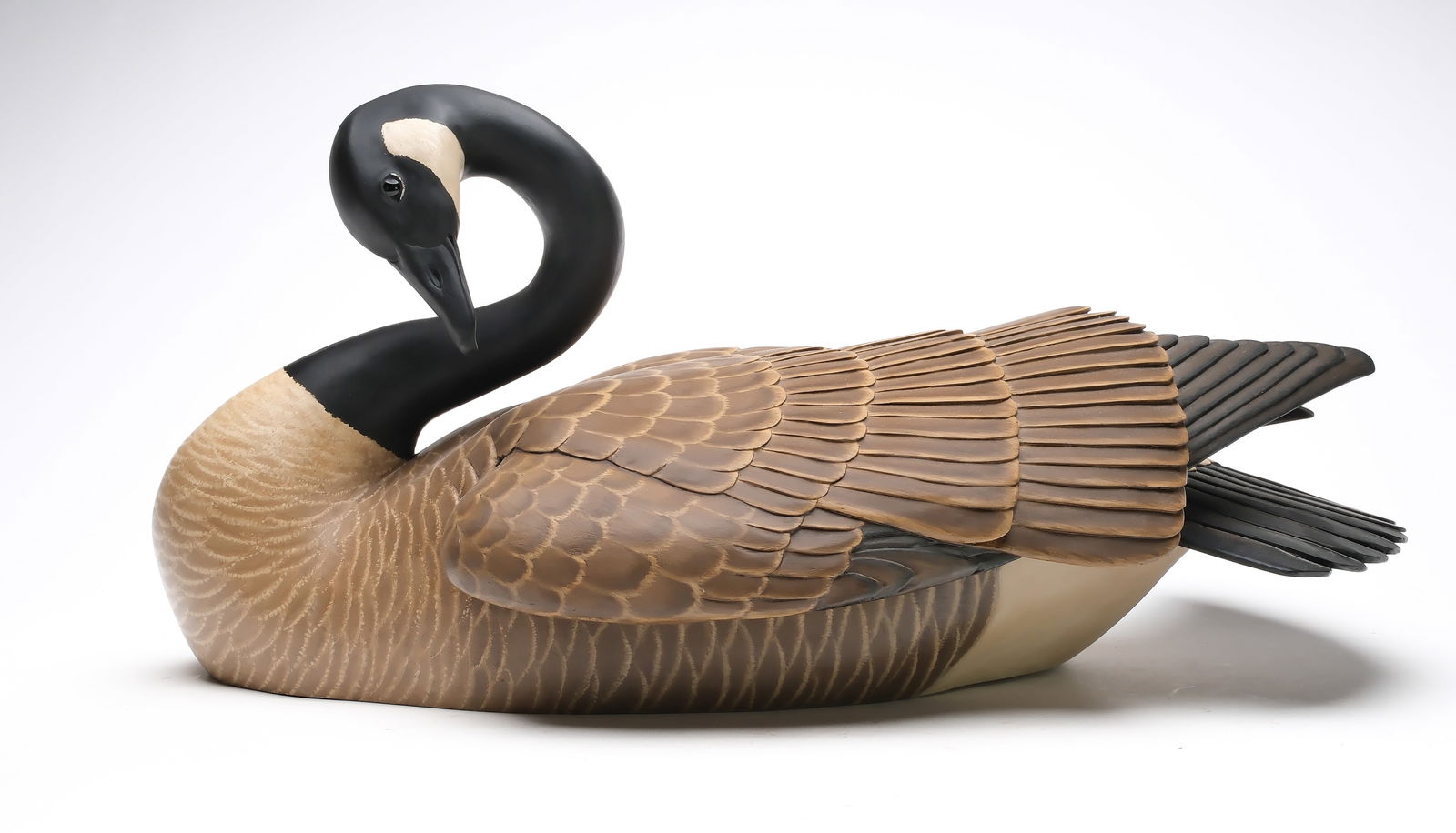 Eddie Wozny (b.1959), Cambridge, Maryland.: Impressive full size Canada goose. Hollow carved, with one outstretched wing and head curled about to preen. Raised wingtips and deep relief feather carving. Identified, signed, and dated 2021 on unde