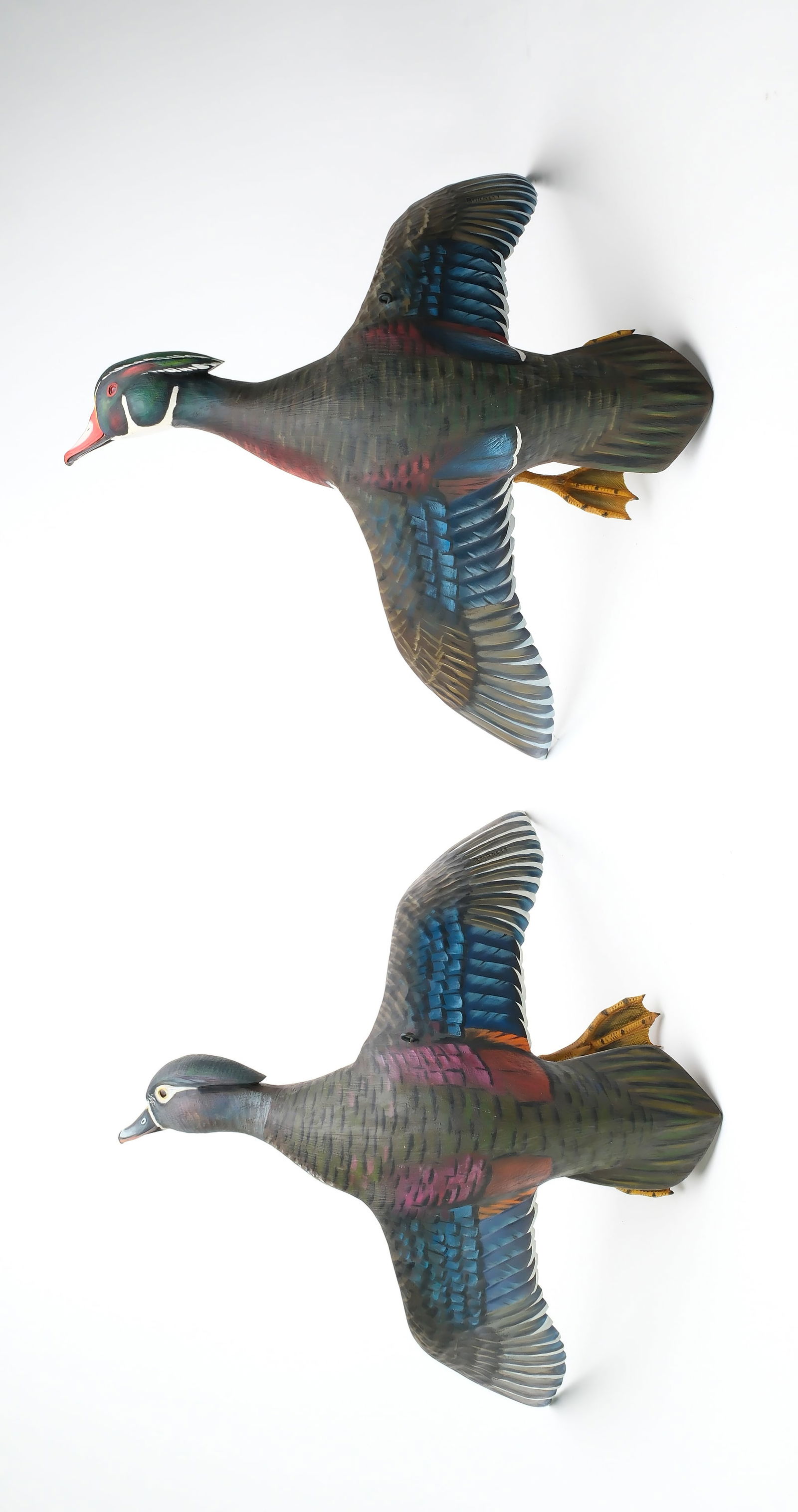 Mike Borrett, (b.1960), Madison, Wisconsin.: Pair of flying wood ducks. Outstretched wings with relief feather carving. "Borrett" carved on back of wings. Measure 17" and 19" long, with 18" wingspan.