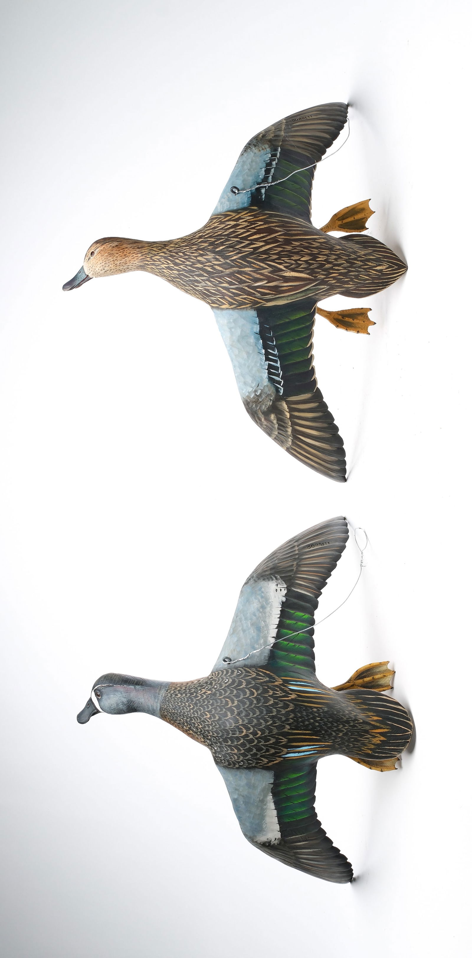 Mike Borrett, (b.1960), Madison, Wisconsin.: Pair of flying bluewing teal. Outstretched wings and applied feet. Relief wing and tail feather carving. "Borrett" carved in each wing. Measure 16.5", with a 18" wingspan.
