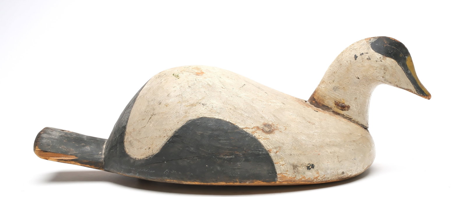 Wonderful hump back eider from Nova Scotia.: Slight swimming pose with exaggerated humped back and paddle tail. Inlaid neck seat. Measures 19" long. Provenance: Don Leonard collection.