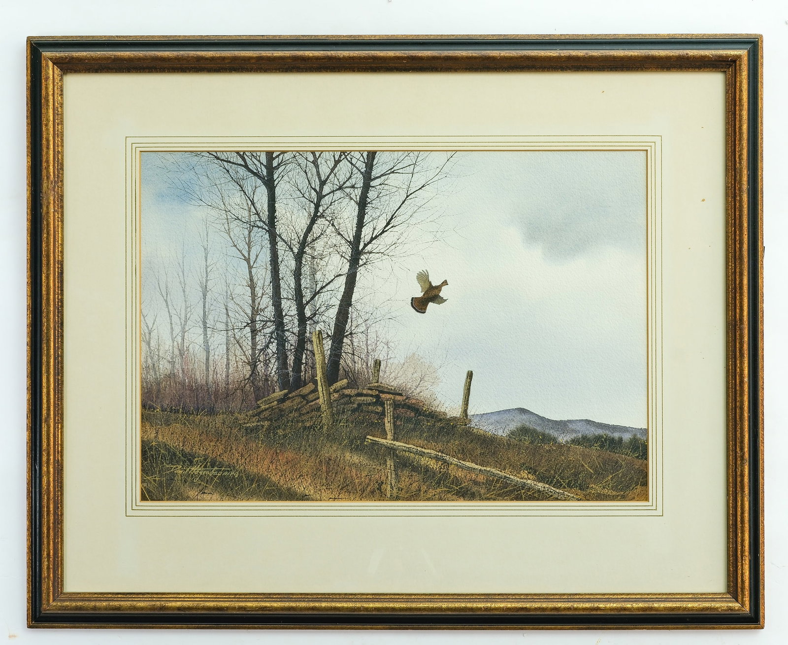 David Hagerbaumer (1921-2014), watercolor on paper.: Image size 17.75" x 21". Frame size 25" x 31". Signed. Professionally matted and framed. Grouse in flight over wooden fence.
