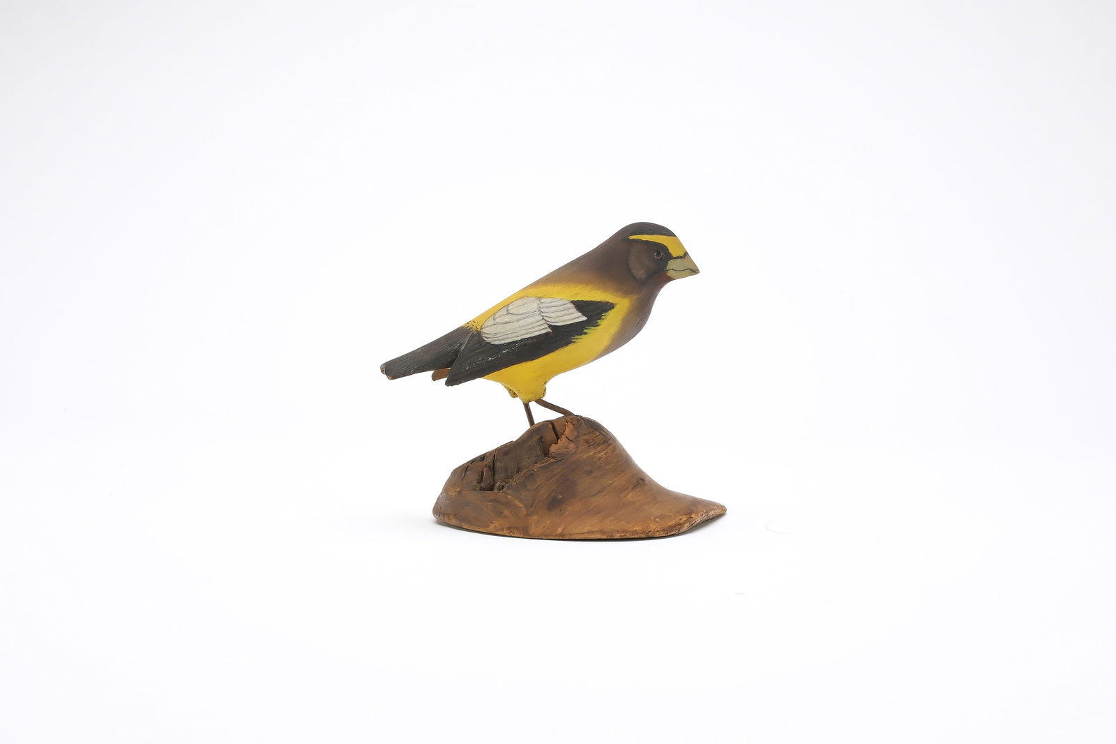 Jess Blackstone (1909-1988), Concord, New Hampshire.: Miniature evening grosbeak. Dropped wing carving and feather rasping. Rare slightly turned head and thigh carving. Identified, initialed, and numbered 52 on underside. Also with "DW 5901". Measur