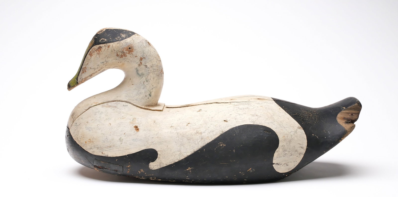 Outstanding eider from Matinicus Island, Maine, circa 1890. (1 of 7)