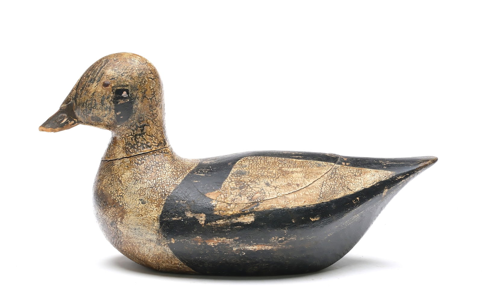 Hollow carved Labrador duck from Long Island, mid-19th century.: Slightly turned head with tack eyes. Decoy is hollowed from the back. Peter Muller collection ink stamp on underside. Measures 13.5" long. Provenance: Private Southern collection. Literature: "A