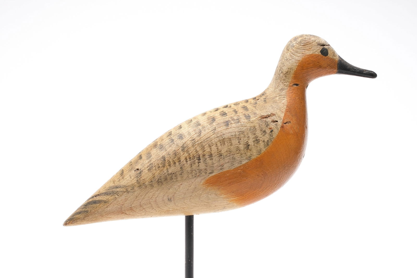 Harry V. Shourds (1861-1920), Tuckerton, New Jersey. (1 of 5)