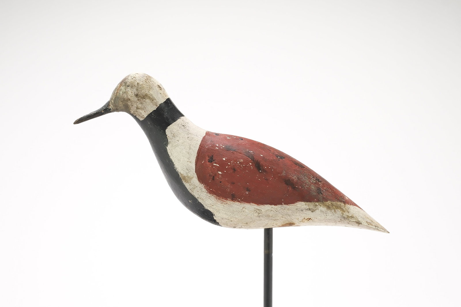 Charles W. Turner (1860-1939) Atlantic City, New Jersey.: Excellent ruddy turnstone. Measures 9.25" long. Provenance: Lloyd Johnson collection. Private Southern collection.