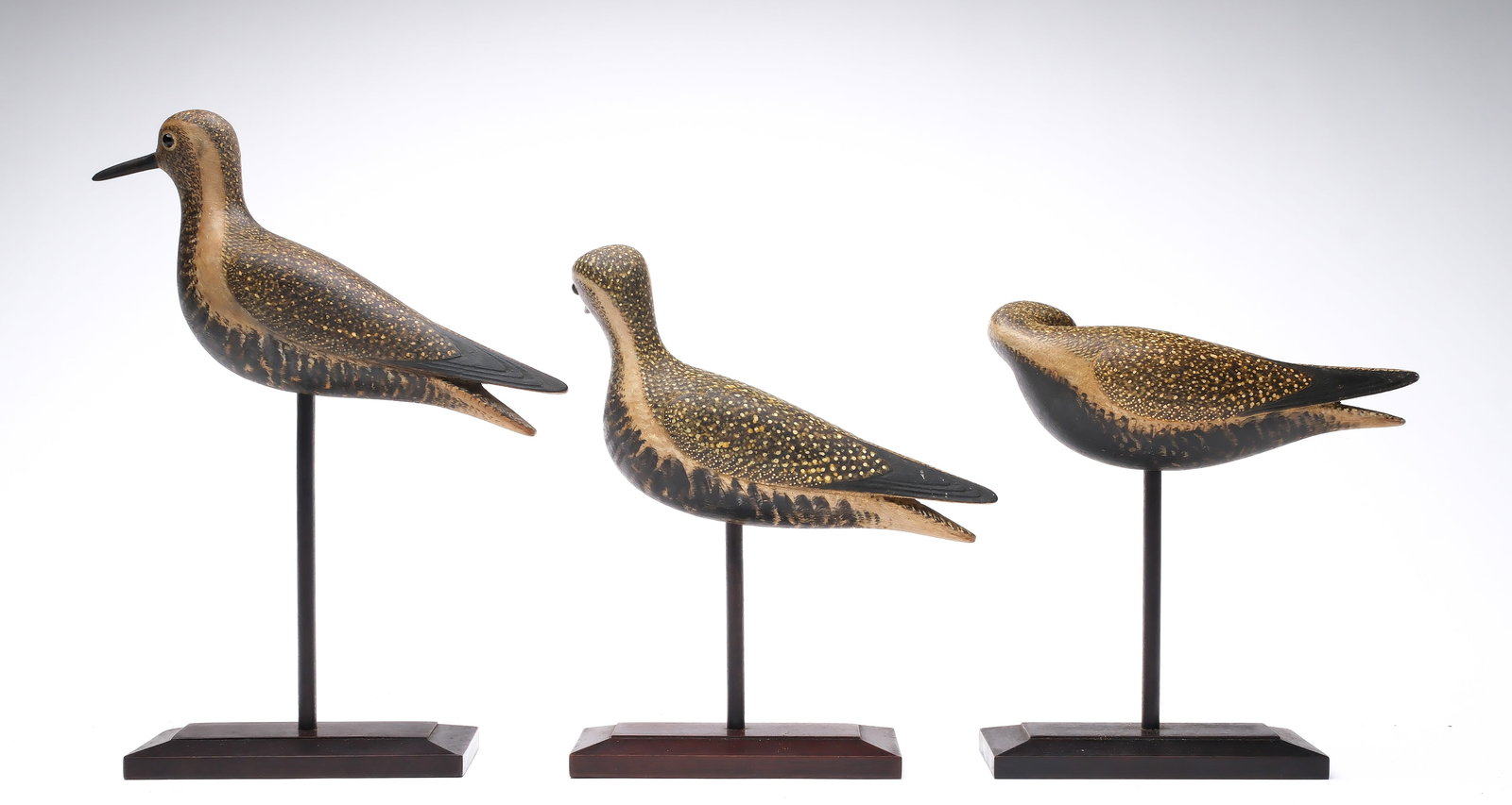Mark McNair (b.1950), Craddockville, Virginia.: Trio of golden plover. One with head turned 50 degrees and slightly cocked. Another with head turned preening one wing. All are very thinly hollowed, with relief wing carving and wingtip detail simila