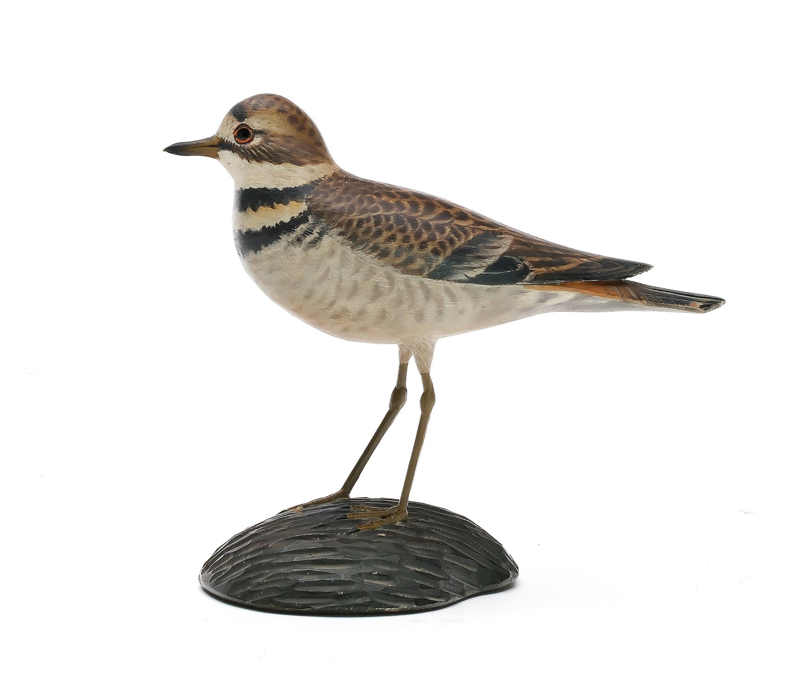 A. Elmer Crowell (1862-1952), East Harwich, Massachusetts.: Decorative killdeer. Relief tail feather carving and excellent paint detail. Gouge carving on base. Identified in pencil on underside. Maker’s rectangle stamp under a paper newspaper clipping ta