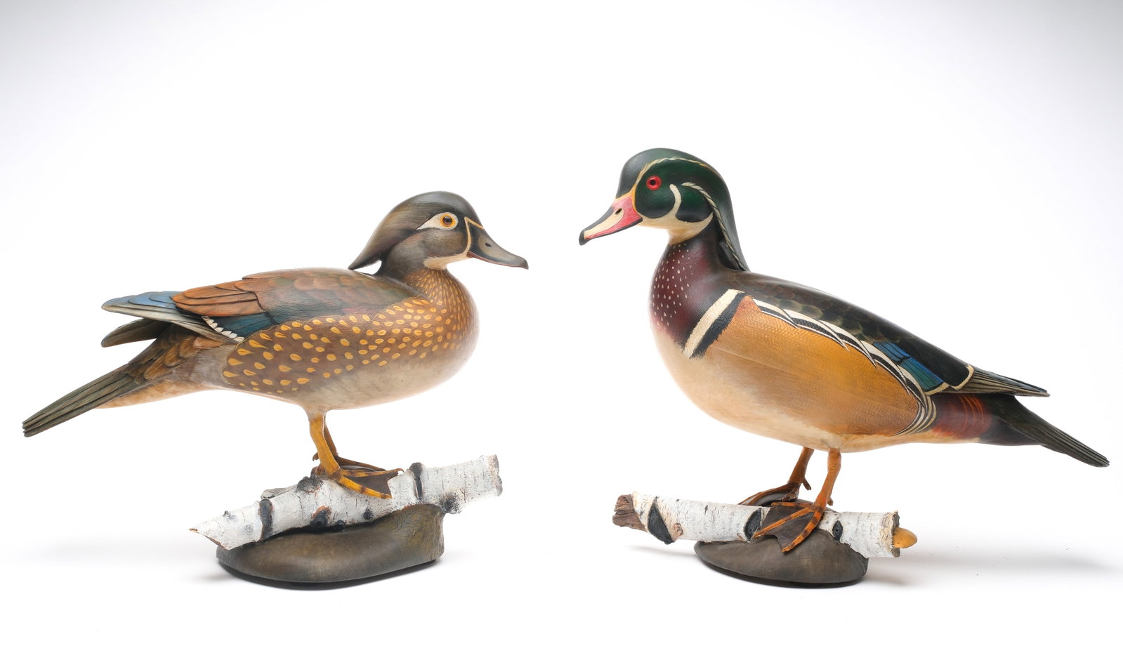 William Gibian (b.1946), Onancock, Virginia.: Excellent pair of standing wood ducks. Hollow carved with slightly turned heads and extended crests. Hen with raised crossed wingtips. Both with relief wing and tail feather carving. Carved bases with