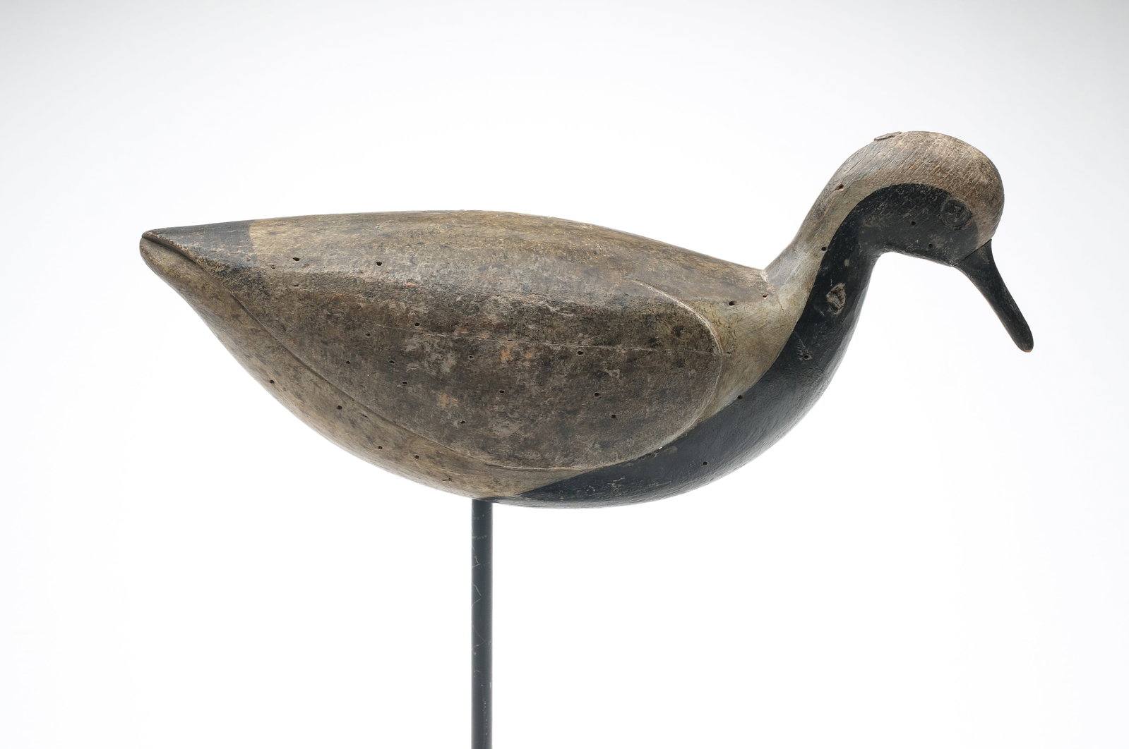 Cameron McIntyre (b.1968), New Church, Virginia.: Black bellied plover. Relief wing carving and carved eyes. "CTM" carved in underside. Measures 12.5" long.