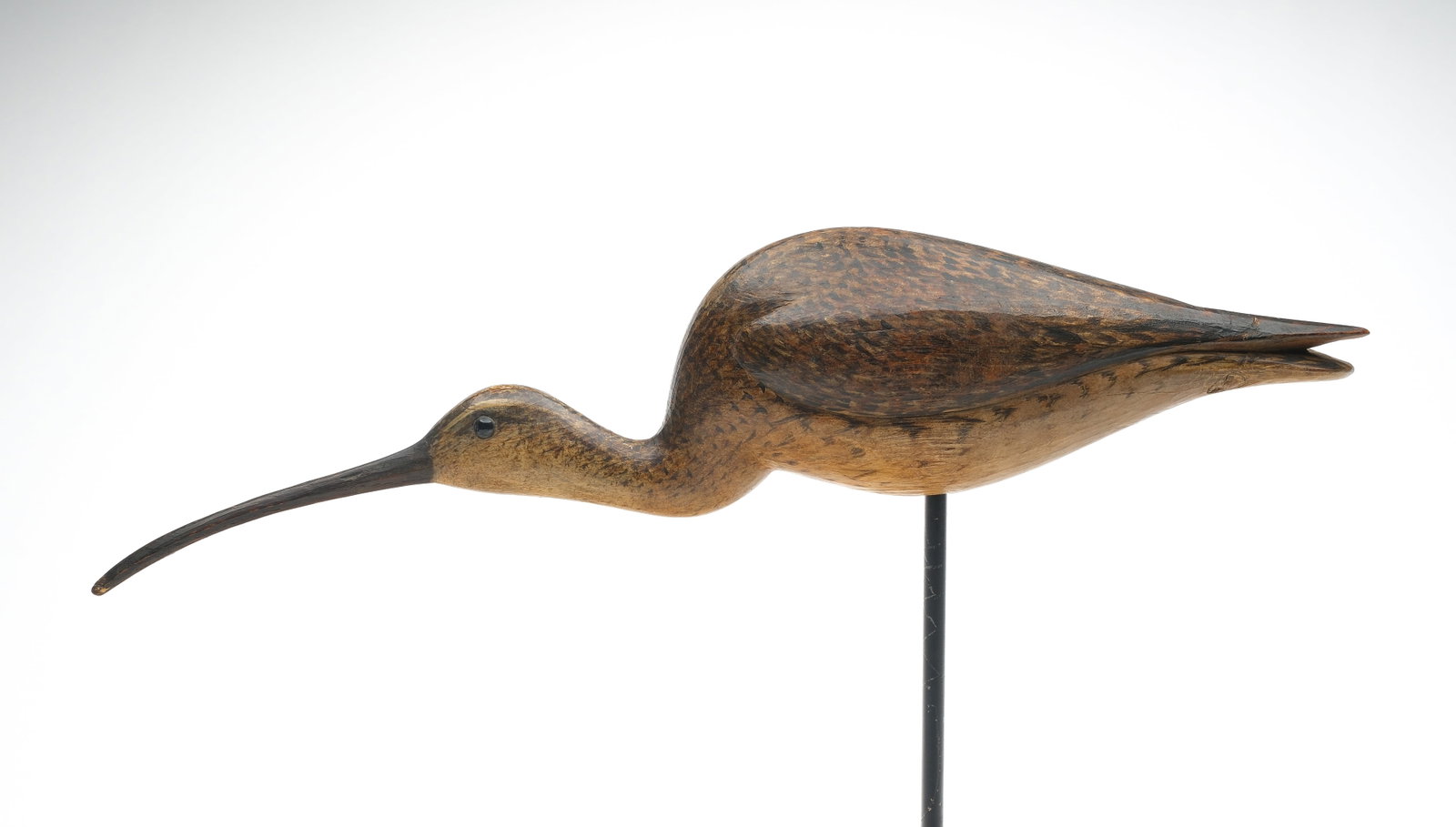 Mark McNair (b.1950), Craddockville, Virginia.: Feeding curlew. Deep relief wing carving and raised wingtips. "McNair" carved in underside. Measures 17.5" long.