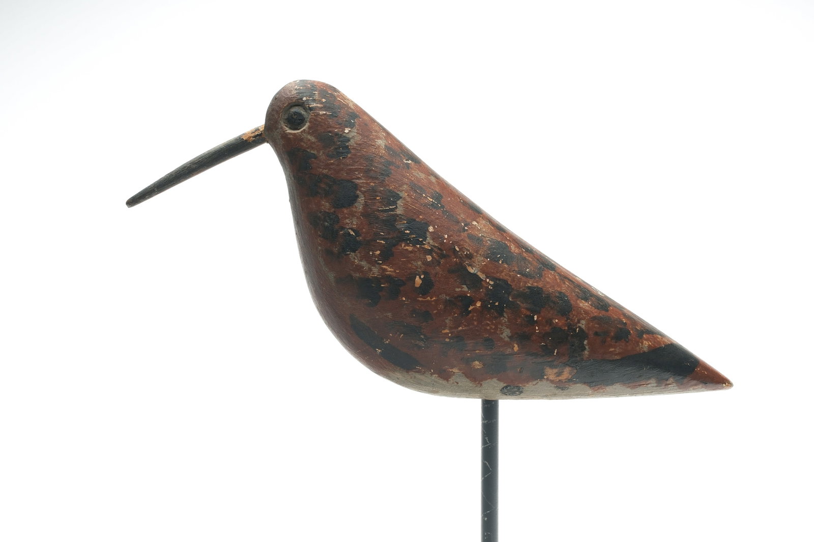 Dowitcher from Long Island, late 19th century. (1 of 5)