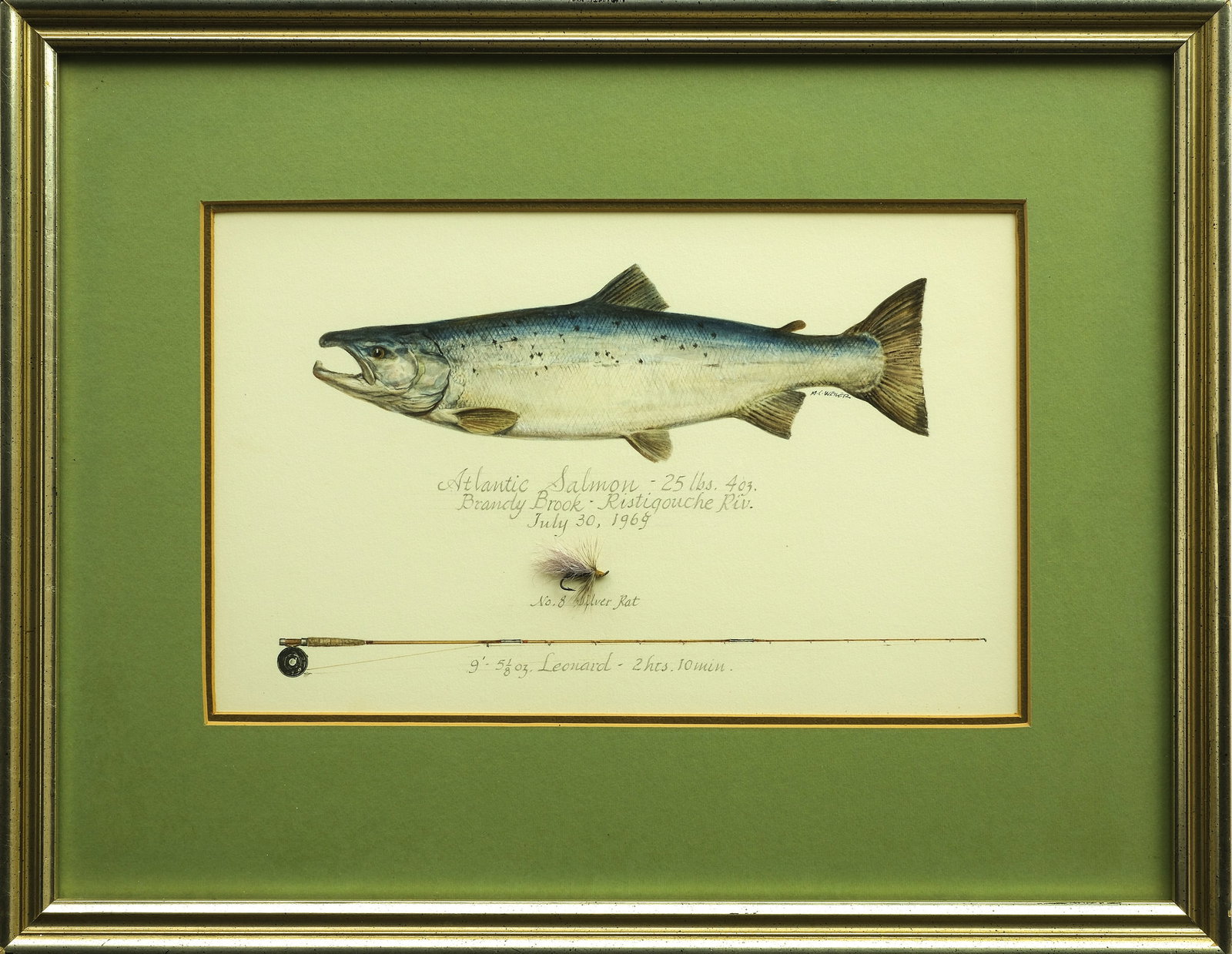 Milton Weiler (1910-1974), watercolor on paperboard.: Signed below tail. Silver wrapped fly used to catch the fish is mounted on work. Image measures 7 ¼ x 12 in. Frame measures 14 ¼ x 18 in.