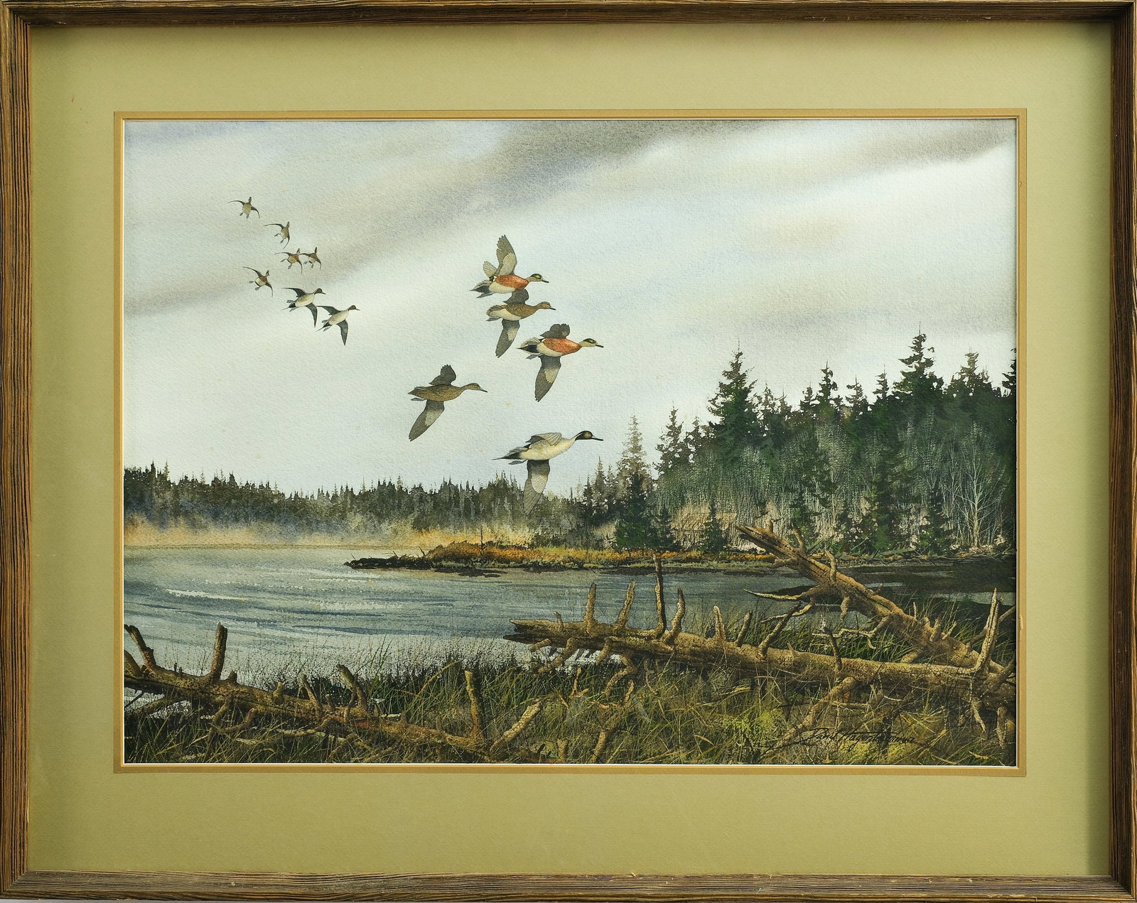 David Hagerbaumer (1921-2014), watercolor on paper.: Of landing pintails and widgeon. Signed lower right. Image measures 20.75" x 29".