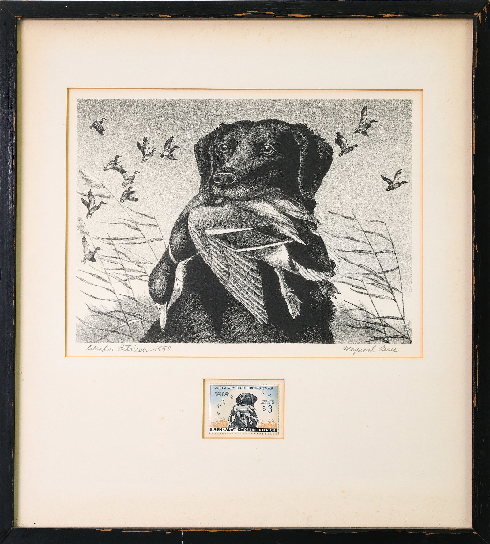Maynard Reese, Federal Duck Stamp. (1 of 1)