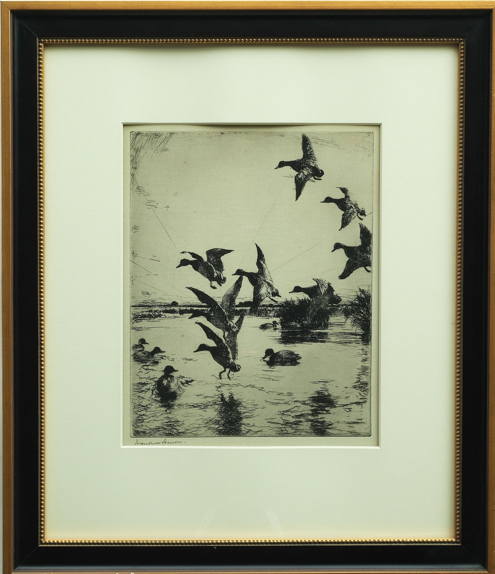 Frank Benson (1862-1951), Massachusetts.: Etching of ducks landing, signed lower left, frame measures 15.75" by 18.5"