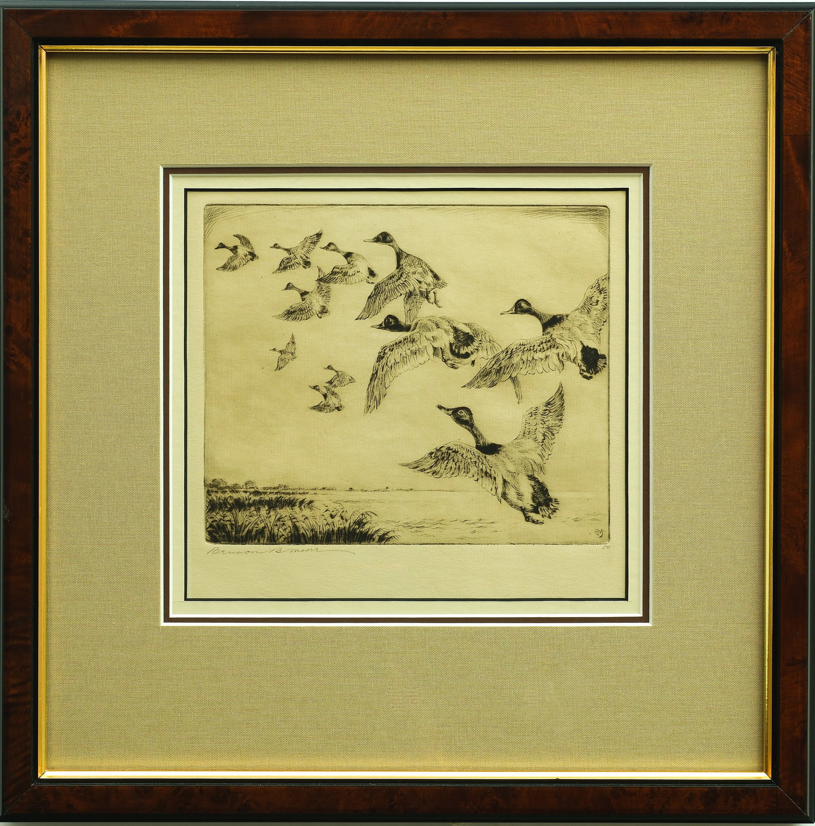 Benson B. Moore (1882-1974), etching.: Titled "Canvasbacks." Signed in lower left with "50" in lower right. Image measures 7" x 7.5", frame measures 13.75" x 14".