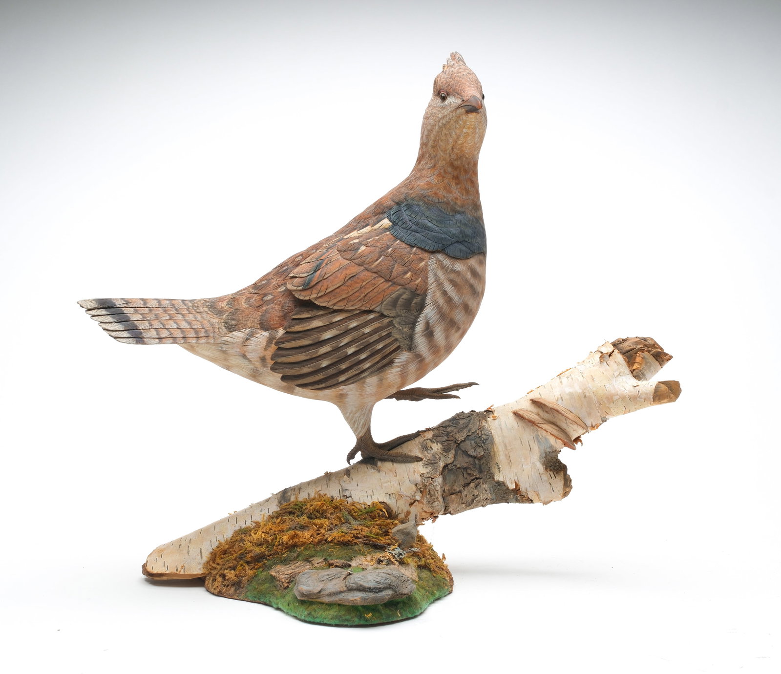Dick Bonner, New Orleans, Louisiana.: Excellent decorative ruffed grouse on carved birch bark base. Head turned 90 degrees and one leg lifted. Dropped wing carving and highly detailed feather carving. Signed and dated 2000 on underside. G